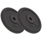 Weight Plates 2 pcs 2×10 kg Cast Iron