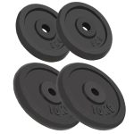 Weight Plates 4 pcs 2×10 kg+2×5 kg Cast Iron