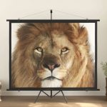 Projection Screen 100″ 4:3