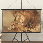 Projection Screen 50″ 16:9