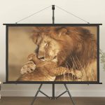 Projection Screen 60″ 16:9