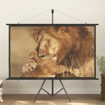 Projection Screen 72″ 16:9