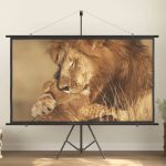 Projection Screen 90″ 16:9