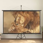 Projection Screen 100″ 16:9