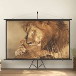 Projection Screen 108″ 16:9