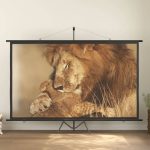 Projection Screen 120″ 16:9