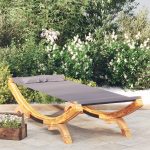 Outdoor Lounge Bed 100×188.5×44 cm Solid Bent Wood Anthracite