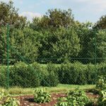 Chain Link Fence Green 1.6×25 m